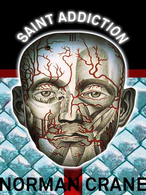 cover image of Saint Addiction